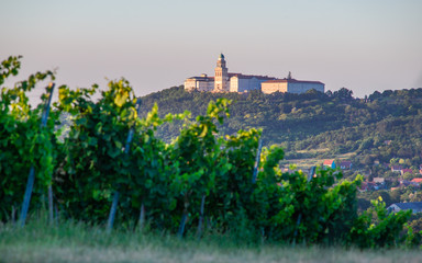 Fototapeta na wymiar Pannonhalma Archabbey with vine grapes in the wine region vineyard, Hungary