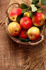 Red apples in a basket