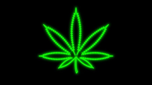 Flickering retro green neon marijuana weed on weed shop Wall Background