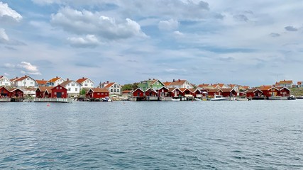 Fototapeta premium Måseskär