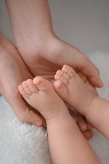 Newborn baby feet and hands of parents