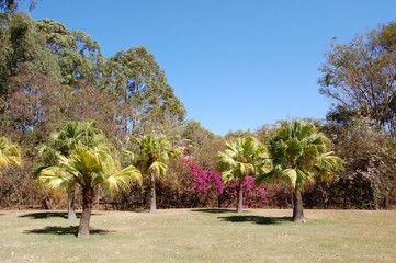Park in Brazil