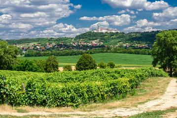 Fototapeta na wymiar Pannonhalma Archabbey with vine grapes in the wine region vineyard, Hungary