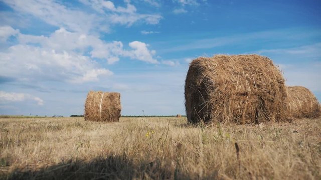 agriculture farming lifestyle concept slow motion video. haystacks on wheat field under the beautiful blue cloudy sky. Agriculture field with sky. Rural nature in the farm land. Straw on the meadow
