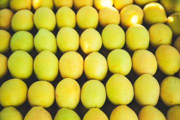  apricots in the box