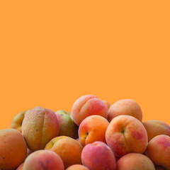 Fresh ripe apricots on an orange background
