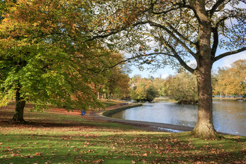 The lake in Lister Park, Manningham, Bradford which has been nominated for the UK Park of the Year award, a crown it last won in 2006