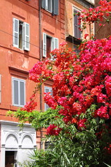 Fototapeta na wymiar Urban scenic of Trastevere in Rome, Italy