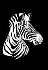  Graphical portrait of zebra isolated on wblack background,vector illustration,sketch