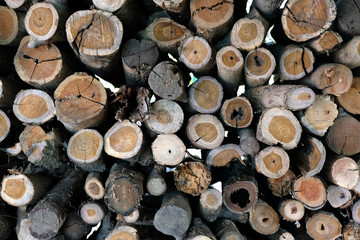 Wall of stacked wood logs