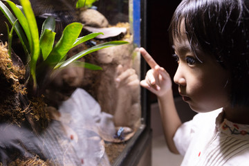 Asian Little Chinese Girl watching insects © Tan Kian Khoon