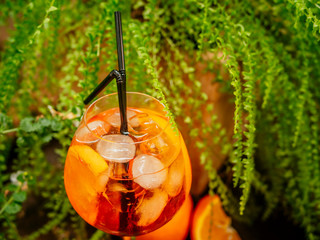 Orange aperol cocktail. On the summer terrace. Garden plants. Sunny day. Orange drink