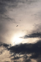 CLOUDS CLOUDS 