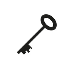 The icon key. Vector