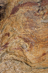 Wet Beach Rock Sandstone Texture  4