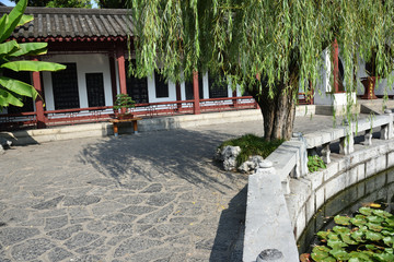 Fototapeta premium Lotus in lake, Wuhan, China
