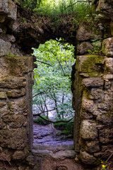 Brick arch deep in the green forest. Portal for draining water in the forest. Close-up