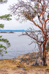 View over Burrard Inlet, ocean and island with boat and mountains in beautiful British Columbia. Canada.