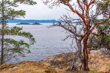 View over Burrard Inlet, ocean and island with boat and mountains in beautiful British Columbia. Canada.