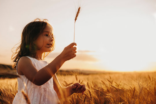 Side view portrait of a lovely little girl in a wheat field against sunset dressed in white.