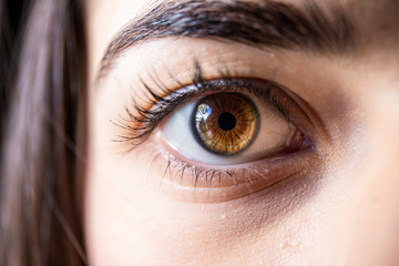 Beautiful brown human eye, close up on the face of a young girl