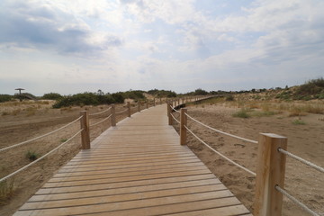 Fototapeta premium Dunas en las playas de Riumar, en el Delto del Ebro