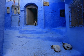 Blue street walls of the popular city of Morocco, Chefchaouen. Traditional moroccan architectural details. - 281640784