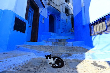 Blue street walls of the popular city of Morocco, Chefchaouen. Traditional moroccan architectural details. - 281640944