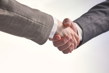 Business handshake. Two businessman shaking hands with each oth