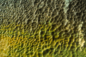 Patterns on surface of stone