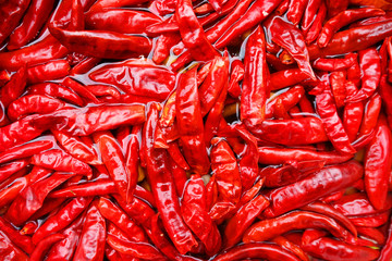 Red dried chili soaked in water, abstract background, Hot and spicy concept.