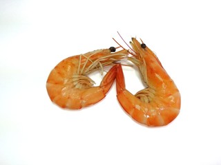 shrimp isolated on white background