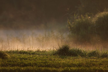 The morning mist and sunrise sunlight reflects on the surface of water in a lake