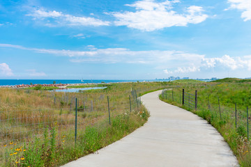 Fototapeta na wymiar Curving Path with Native Plants at Northerly Island in Chicago during the Summer by Lake Michigan