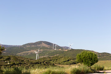 Wind turbines on the Spanish coast near Gibraltar