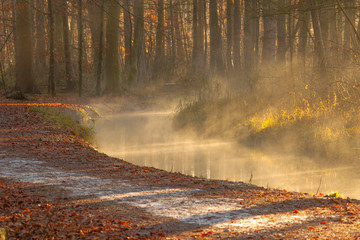 Fog rises on a sunny winter morning from a creek on the forest road