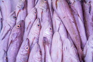 Obraz premium different types of fresh fish on ice in a fish market