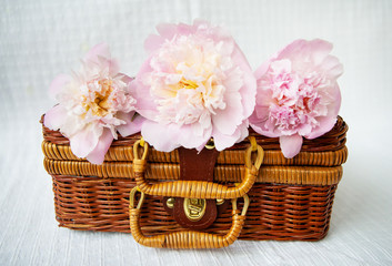 Fototapeta na wymiar Three beautiful pink peonies lie on a wooden suitcase. Beautiful composition.
