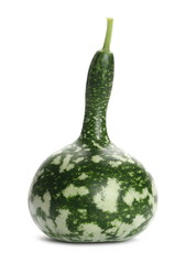Decorative gourd isolated on white background