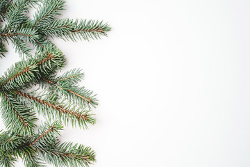 Fir branches on white background. Christmas wallpaper. Flat lay, copy space.
