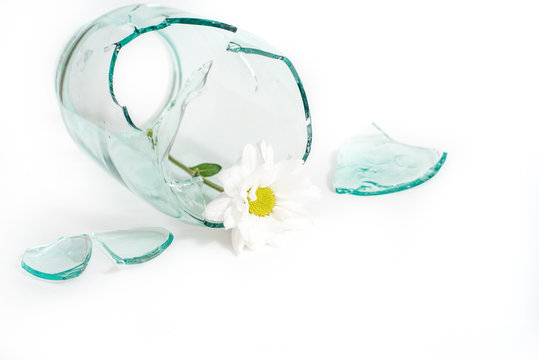 broken glass, a flower in a broken vase. The concept of unhappy love, grief and tears.