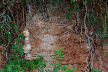  Fragment with a texture of rock