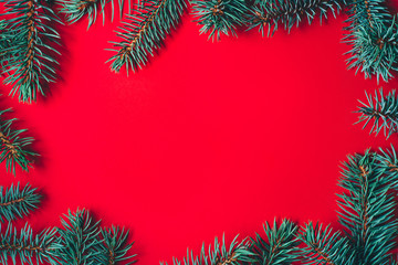 Fototapeta na wymiar Fir branches on red background. Christmas wallpaper. Flat lay, copy space.