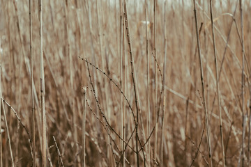 Obraz premium struktura.