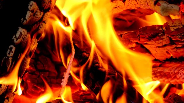 Fire with burning wood logs on a campfire close up video in 4K. Slow motion clip at half speed.