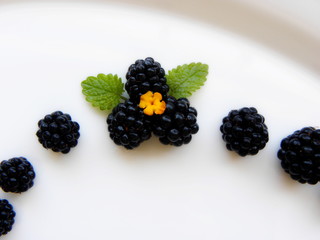 blackberry closeup on white background