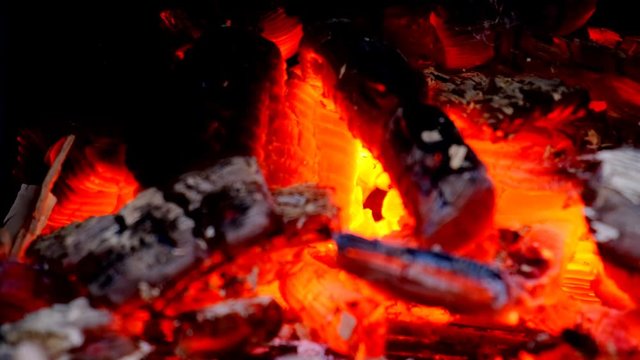 Fire with glowing and burning wood logs on a campfire close up video in 4K.