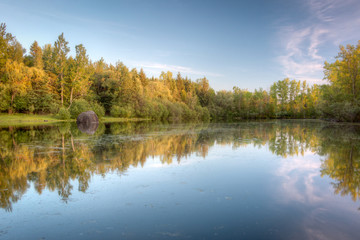 Fototapeta na wymiar reflection of trees in calm lake