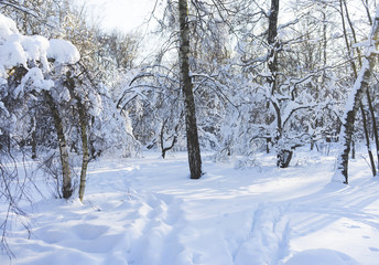 Snow-covered Park on a clear day at sunset.