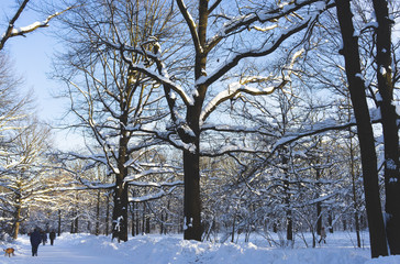 Snow-covered Park on a clear day at sunset.